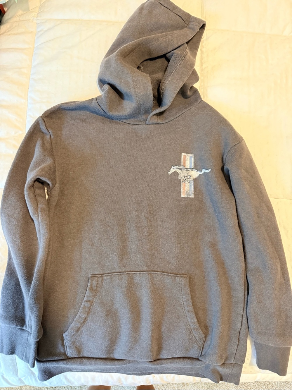 Ford Boys Gray Hoodie with Mustang Emblem